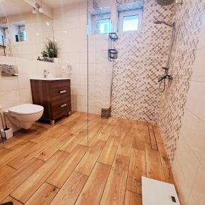 a bathroom with a shower and a toilet and a sink at Apartament pod Miastem in Szamotuły