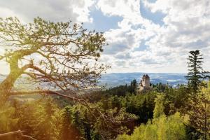 a church on top of a hill with trees at Penzion Pod Ždánovem in Nezdice