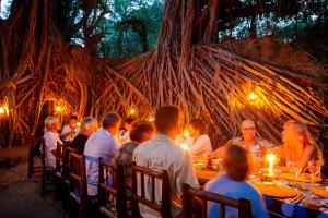 Hosté ubytování Chole Mjini Treehouses Lodge + 37 fotografií