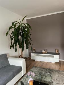 sala de estar con sofá y planta en Seiersberg en Seiersberg