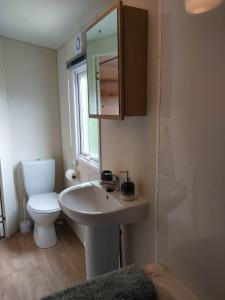 a bathroom with a sink and a toilet and a mirror at Endless Summer in Barnstaple