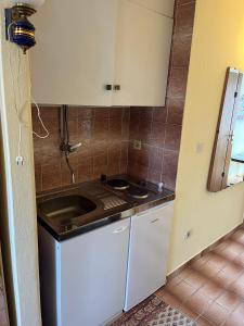 uma pequena cozinha com um lavatório e um fogão em Villa Dudu em Selce