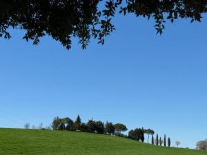 een grasheuvel met bomen en een blauwe lucht bij Orvieto Country House in Castiglione in Teverina
