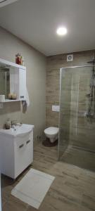 Koupelna v ubytování Apartman Fiora