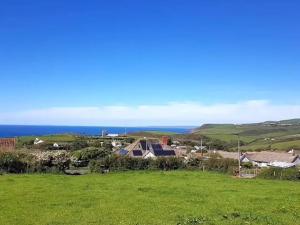 a green field with the ocean in the background at Ocean View Glamping in Boscastle