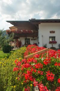 une maison avec des fleurs rouges devant elle dans l'établissement Appartements Hanni, à Ehrwald