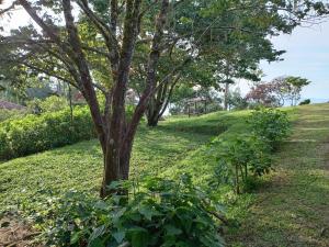 Zahrada ubytování Finca posada del camino real