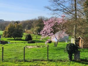 una recinzione in un campo con un albero con fiori rosa di La Petite Maison à la Campagne a Guer Altre 6 foto