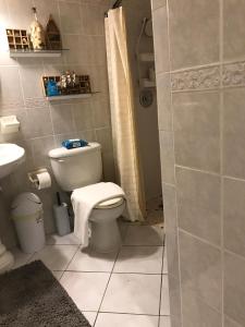 a bathroom with a toilet and a shower at Perfect get away from big city life in Freeport