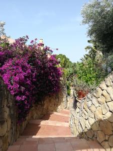 un camino con flores púrpuras en una pared de piedra en Casa Azzurra, en Capitana