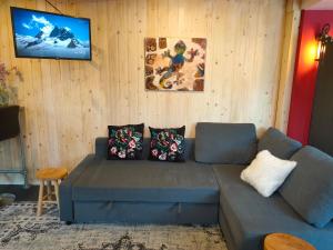 salon z niebieską kanapą z poduszkami w obiekcie Gastenverblijf 'De Hupsakeet' w mieście Barneveld