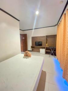 Habitación con cama y TV. en VILLA LOURDES RESORT, en Boracay