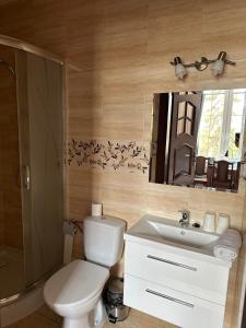 a bathroom with a toilet and a sink and a mirror at Hotel "XAVIER" in Lubycza Królewska
