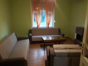 sala de estar con sofá, mesa y ventana en Kuca za odmor Daca Bogojevo en Gombos