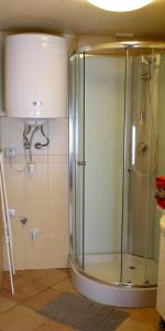 a shower with a glass door in a bathroom at LEM Family Apartment in Budapest