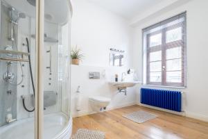 a bathroom with a shower and a toilet and a sink at Haus Schweiz in Bonn in Bonn