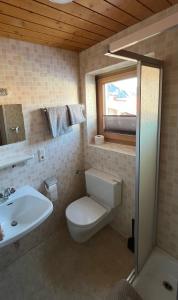 a bathroom with a toilet and a sink at Chic in Ehrwald