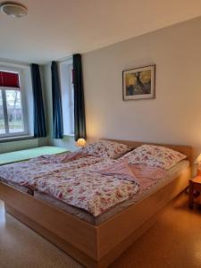 ein Schlafzimmer mit einem Bett in einem Zimmer mit Fenstern in der Unterkunft Ferienhof Bisdorf "Bauernhaus" in Bisdorf