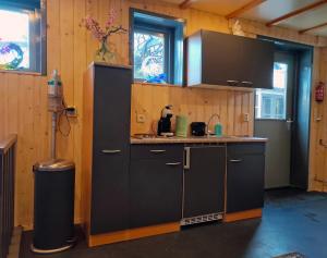 Η κουζίνα ή μικρή κουζίνα στο Gastenverblijf 'De Hupsakeet'