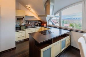 Köök või kööginurk majutusasutuses Apartmány Celnice