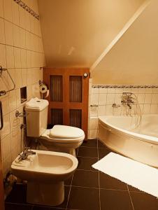 a bathroom with a toilet and a sink and a tub at Boutique hotel & Wellness Spitzerova vila Eliška in Janovice