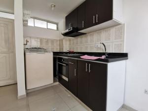 通哈的住宿－aparta estudio independiente centro Tunja，厨房配有黑色橱柜、水槽和洗碗机。