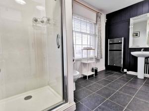 a bathroom with a shower and a toilet and a sink at Beacon View in Ivinghoe