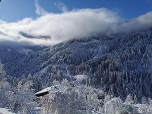 a view of a snow covered mountain with trees at Landhaus Oberzinnegg in Saalbach-Hinterglemm
