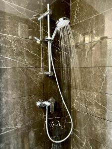 a shower with a hose attached to a wall at Le Nid du Parc in Dijon
