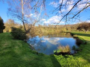 ein Teich mitten in einem Park in der Unterkunft Au repos du pêcheur in Bouchamps-lès-Craon