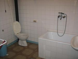 a bathroom with a toilet and a tub and a sink at Guest house Pribojska Banja in Pribojska Banja +65 photos