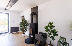 sala de estar con chimenea y plantas en Villa Touesse - Maison de charme/jardin - 8 pers, en Saint-Méloir-des-Ondes