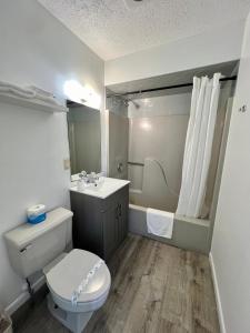 a bathroom with a toilet and a sink and a shower at Sand Pebble Motor Lodge in Point Pleasant Beach