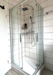 a shower with a glass enclosure in a bathroom at Vila Bösdorf Apartments in Calvörde