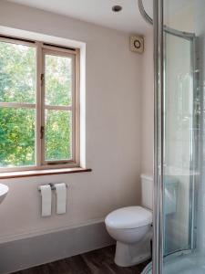 a bathroom with a toilet and a sink and a window at By the River in Glasbury