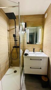 La salle de bains est pourvue d'un lavabo et d'une douche avec un miroir. dans l'établissement appartement en residence au golf, à Biscarrosse