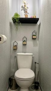 ein Bad mit einem WC und einem Regal darüber in der Unterkunft appartement en residence au golf in Biscarrosse