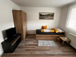 ein Wohnzimmer mit einem Bett und einem TV in der Unterkunft Jan Kocian in Kremsmünster