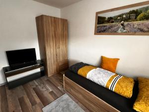 een kleine kamer met een bed en een flatscreen-tv bij Jan Kocian in Kremsmünster