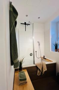 a bathroom with a shower with a glass door at Apartment M4 in Salzburg