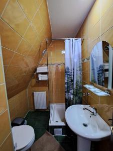 uma casa de banho com um lavatório, um WC e um chuveiro em Hotel Pescarus Port Bicaz em Bicaz