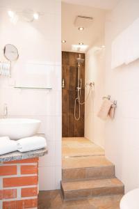 ein Bad mit einer Dusche und einem Waschbecken in der Unterkunft Manufaktur Boutique Hotel in Stadt Wehlen