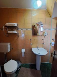 Hotel Pescarus Port Bicaz في بيكاز: حمام مع مرحاض ومغسلة