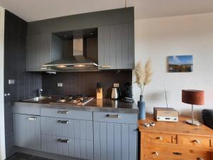 a kitchen with gray cabinets and a stove top oven at Liguster 56* in Nieuwvliet
