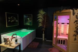 a bathroom with a tub with a pink and green at La Rose Médiévale Balnéo & Sauna in Domfront