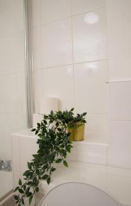 a bathroom with a plant sitting on a counter at Stunning 1-Bed Apartment close to Hotspur in Enfield