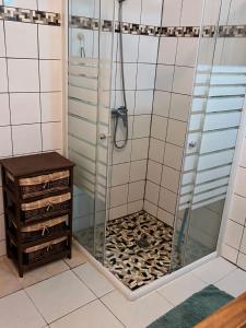 ein Bad mit einer Dusche und einer Glastür in der Unterkunft Maison spiritaine in Saint Esprit