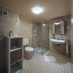 uma casa de banho com um chuveiro, um WC e um lavatório. em Das Schmitz Haus, Ferienhaus em Meckel