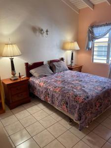 a bedroom with a bed and two lamps on tables at Mountain view Apartment in Basse Terre Town