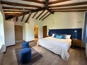 維斯塔爾巴的住宿－Casa Cayé Solar del Plata，一间卧室配有一张大床和一张蓝色椅子